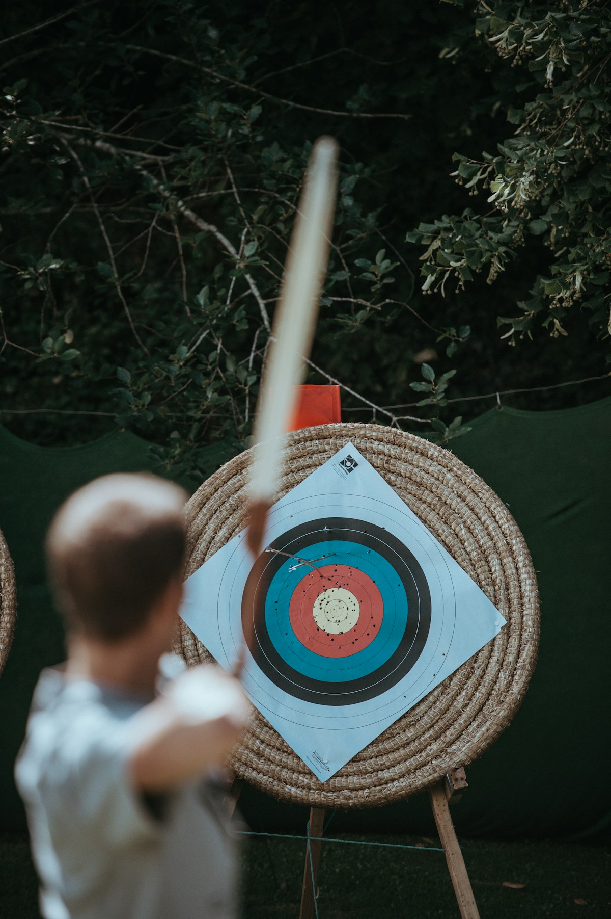 Arrows in an archery target